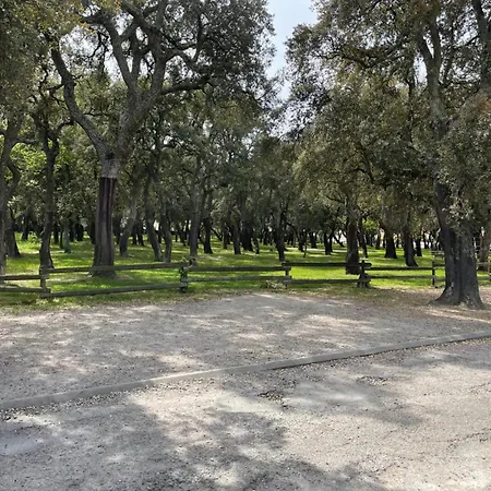 Chez Michele * Saint-Genis-des-Fontaines